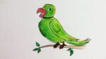 How to draw smiling Parrot|simple nature drawing| Easy step of drawing for beginners