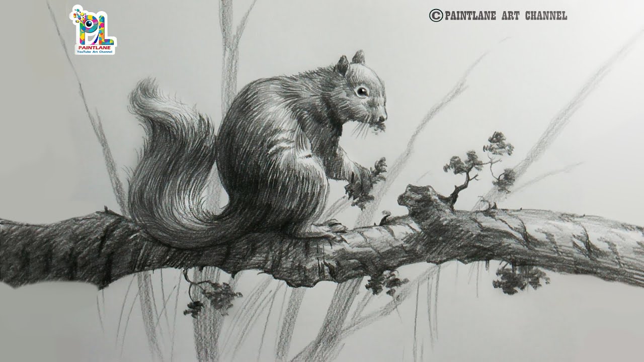 How to draw squirrel sitting on a tree branch and eating leaves with charcoal pencil
