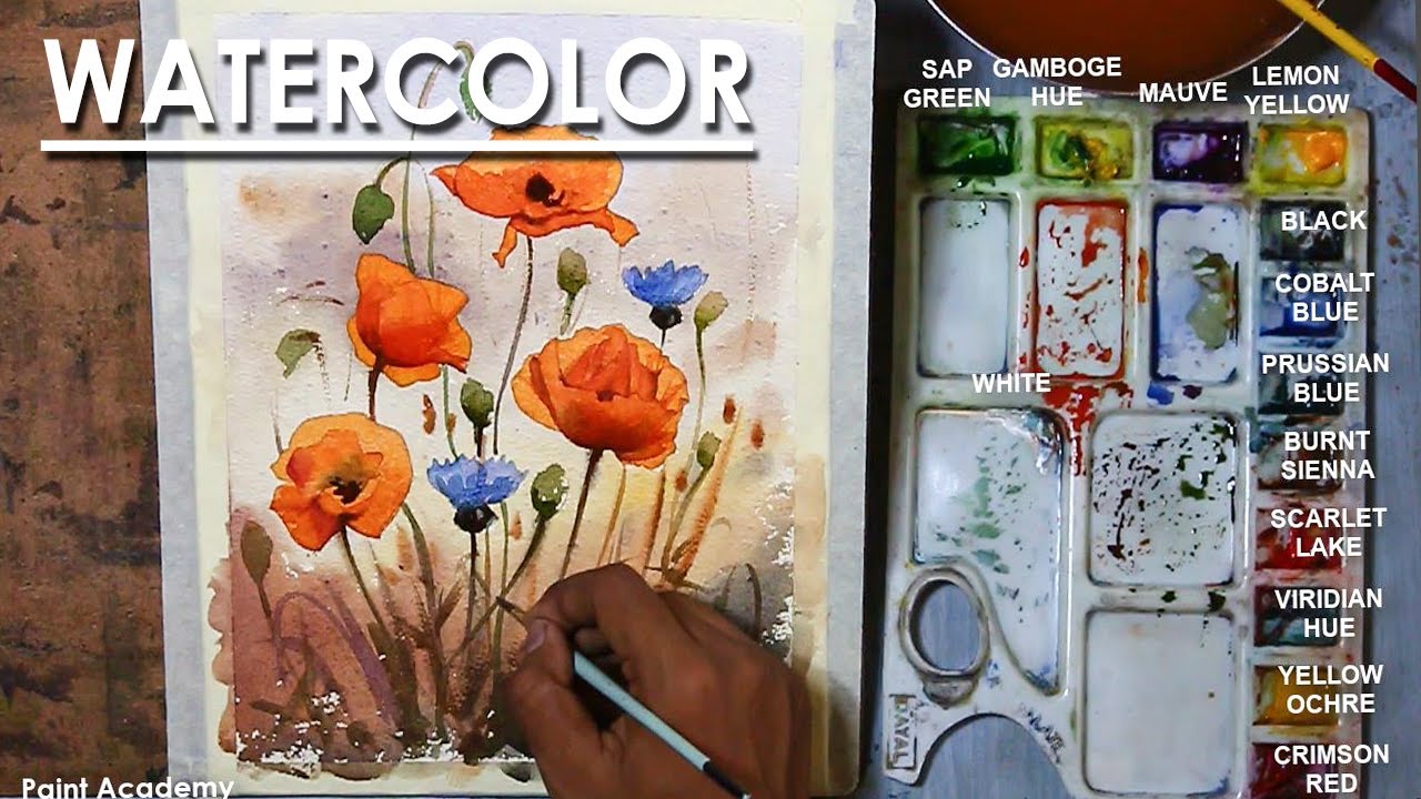 Watercolor Flowers Painting : Poppies and Cornflowers