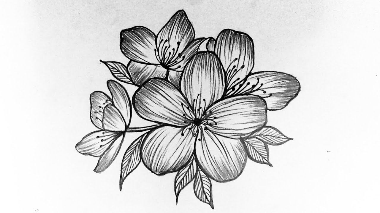 How to draw flowers easy step by step tutorial for beginners