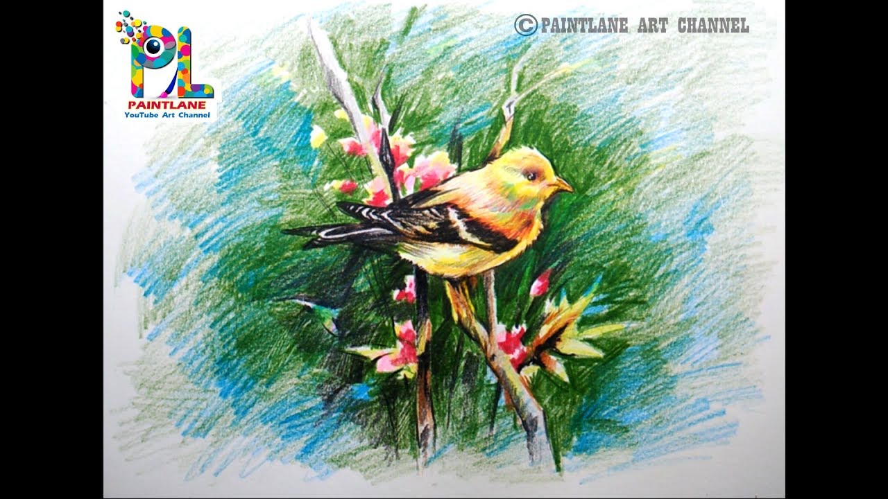 A Yellow Colored Bird Drawing and Coloring with Rough Pencil Strokes