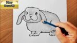 Apprendre comment dessiner un lapin belier facile à dessiner