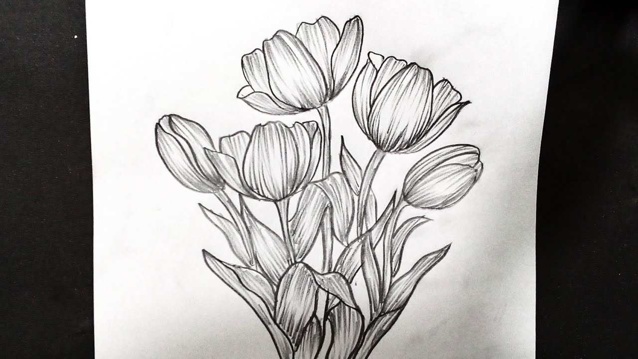 Easy tulips drawing for beginners || Flower drawing tutorial