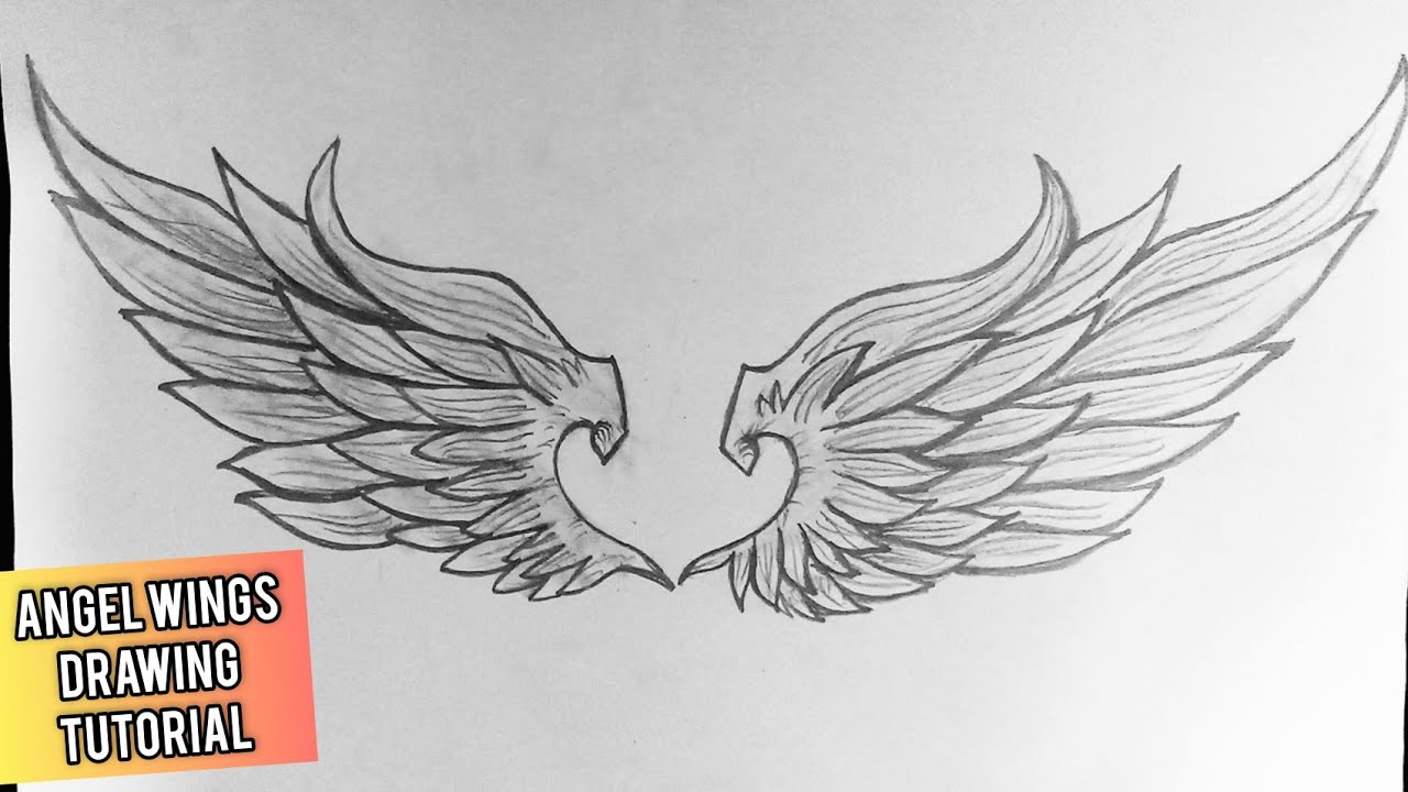 How To Draw Wings For Beginners || Angel Wings Drawing For Beginners