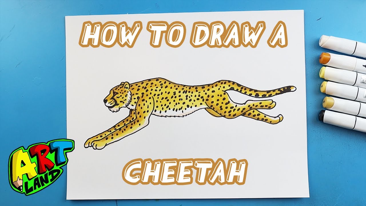 How to Draw a CHEETAH