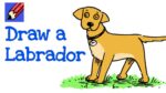 How to Draw a Labrador Dog Real Easy