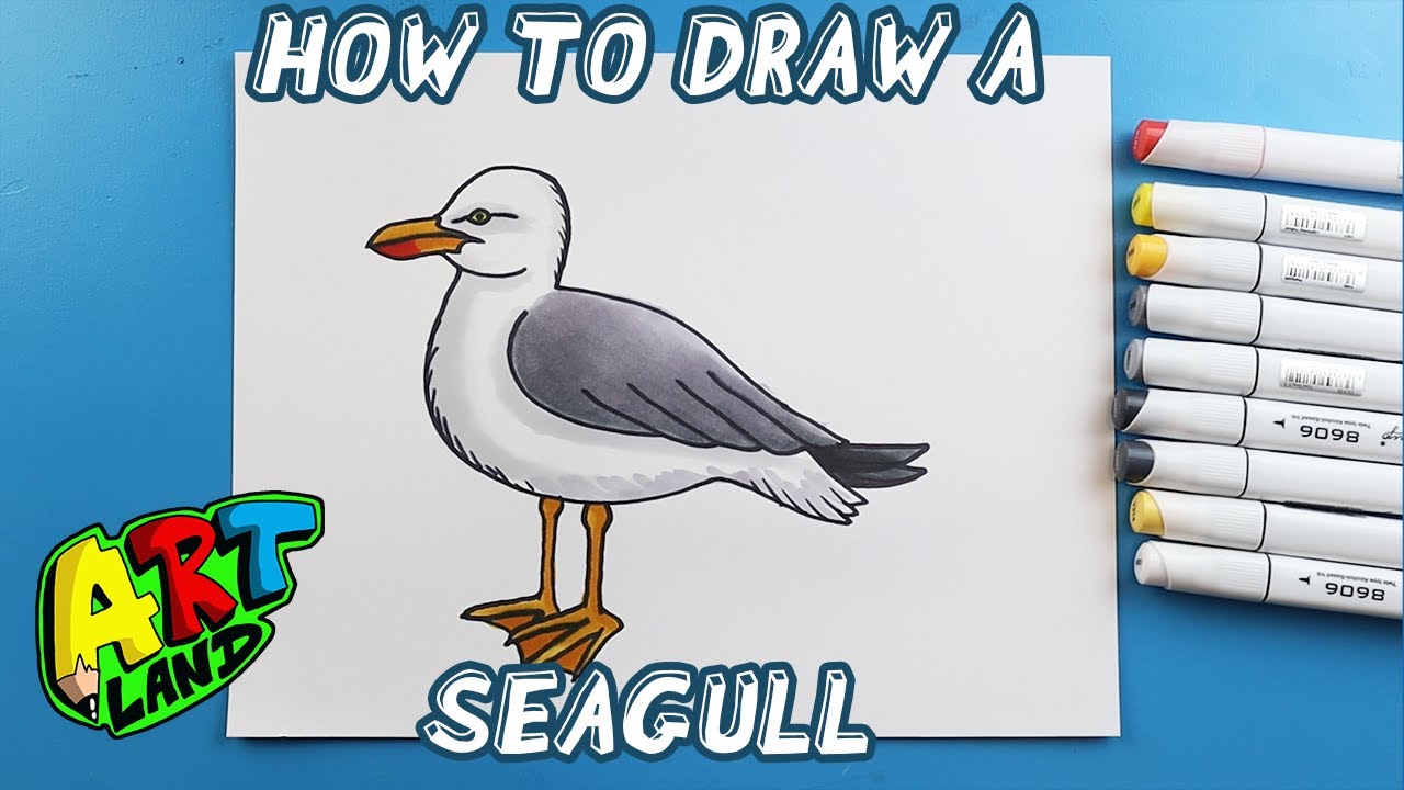 How to Draw a SEAGULL