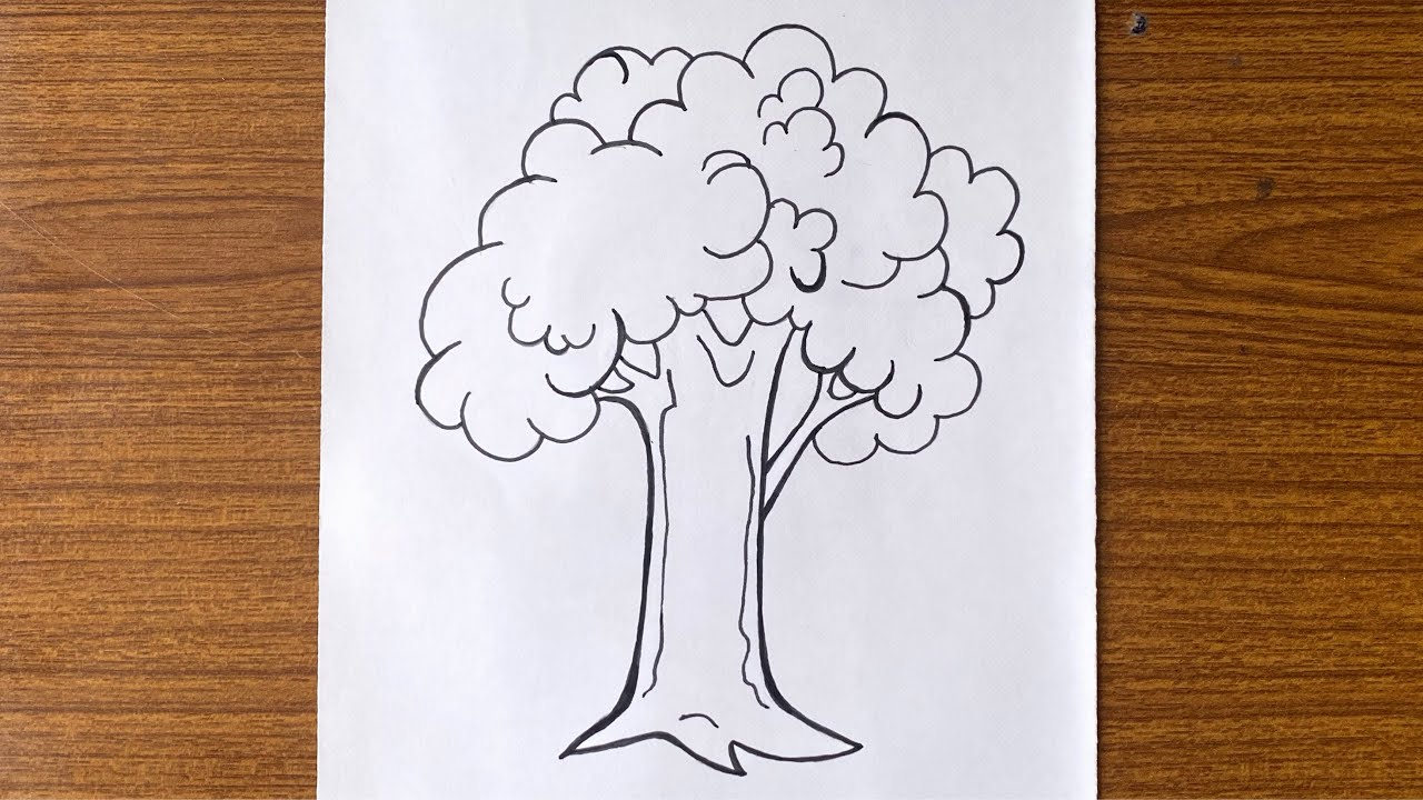 How to draw a beautiful tree with pencil || How to draw a tree for beginners step by step
