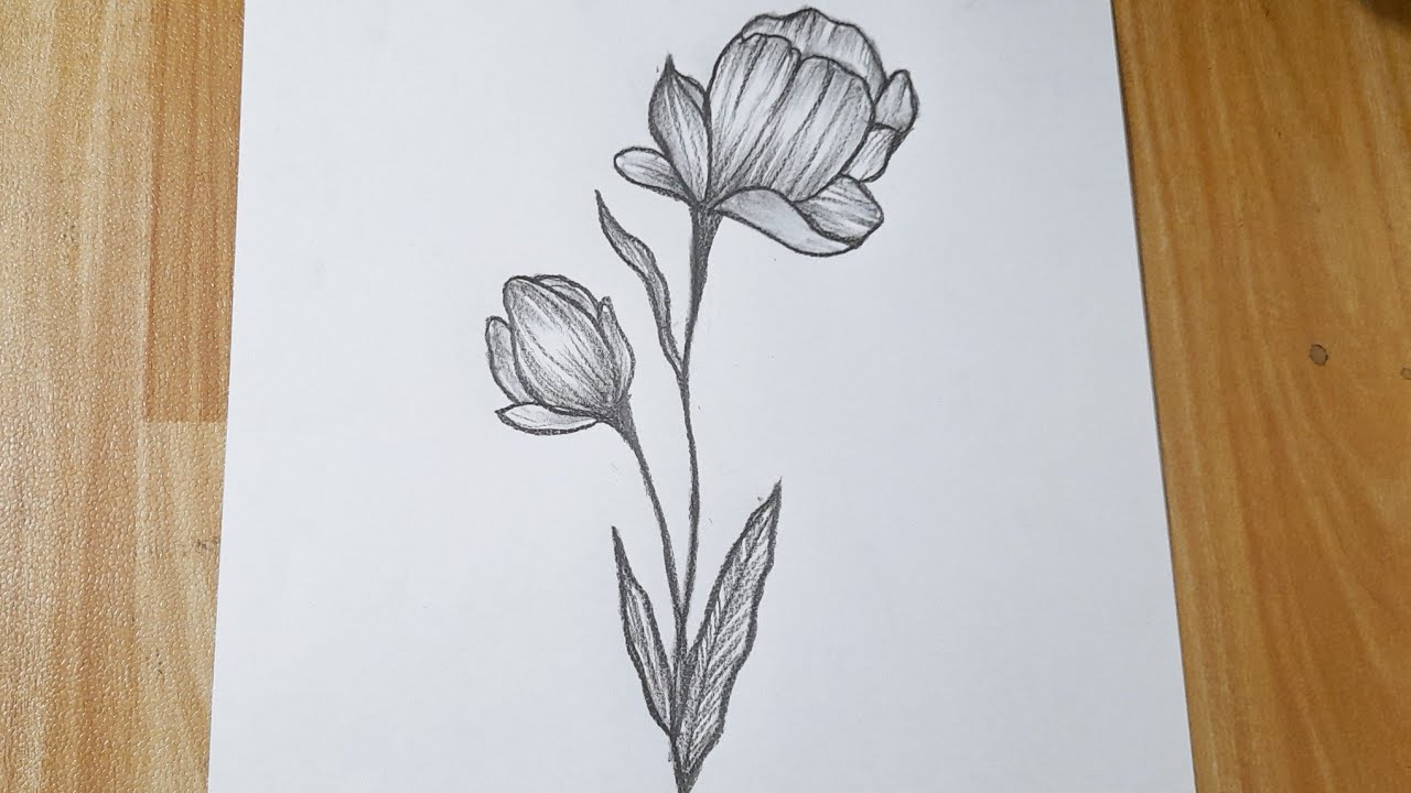 How to draw a flower easy step by step || Flower drawing tutorial