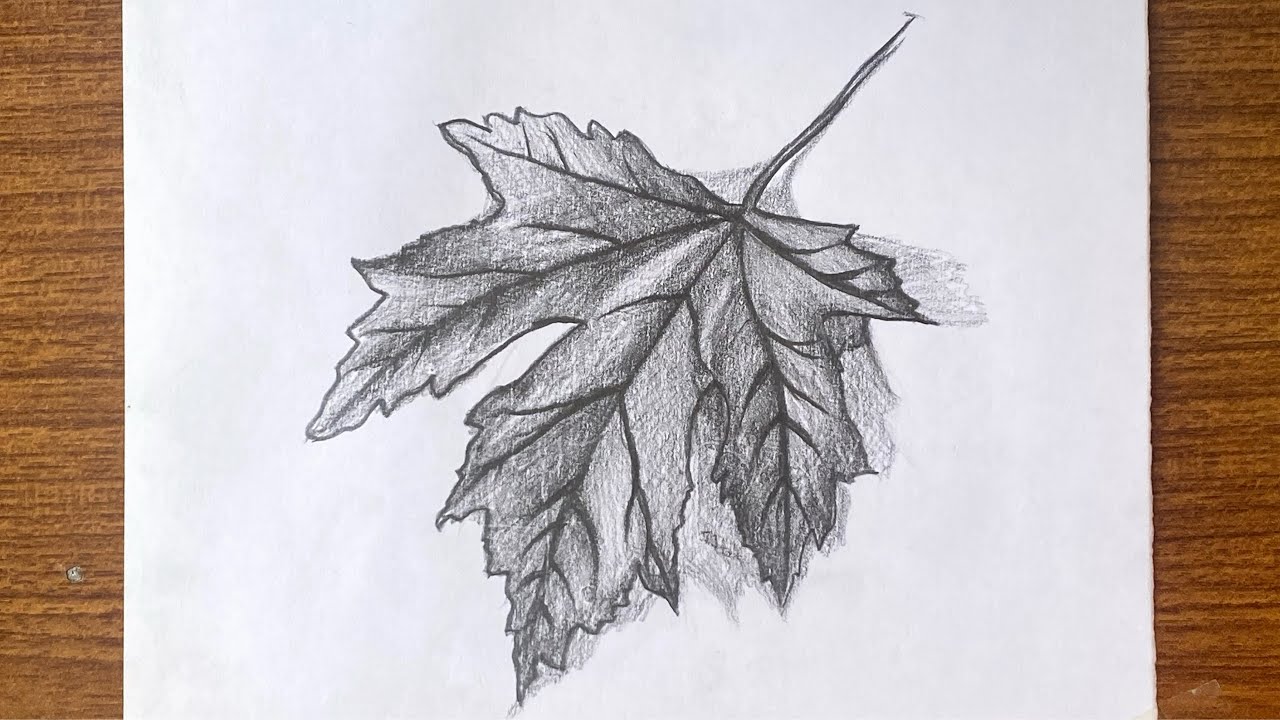 How to draw and shade a leaf - step by step // How to draw a leaf step by step easy