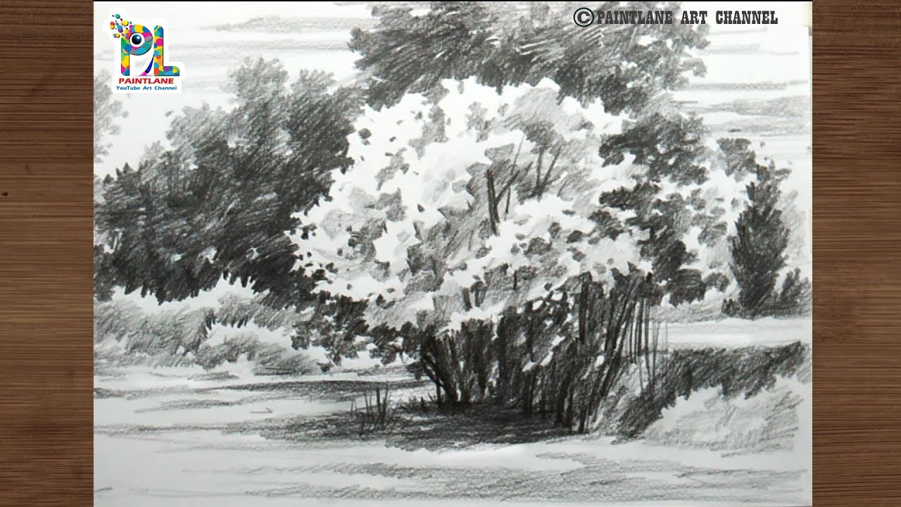 Tree Pencil Drawing and Shading In The Landscape Art || Nature Art