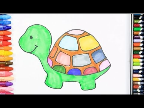 Wie zeichnet man Schildkröte | Zeichnen und Ausmalen | Farben Lernen | Tiernamen Lernen