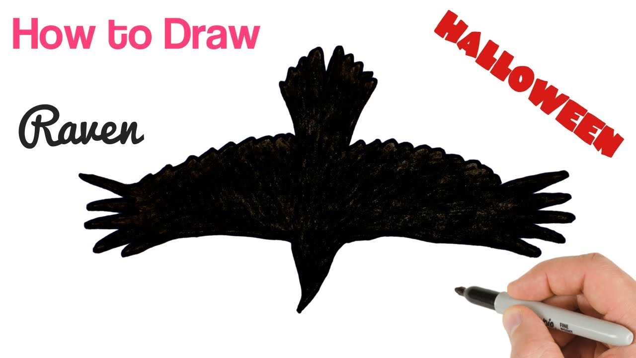 How to Draw Black Raven Flying for Halloween drawings