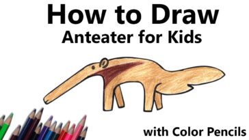 How to Draw a Boat an Anteater for Kids Step by Step - very easy