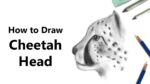 How to Draw a Cheetah's Head with Pencils [Time Lapse]