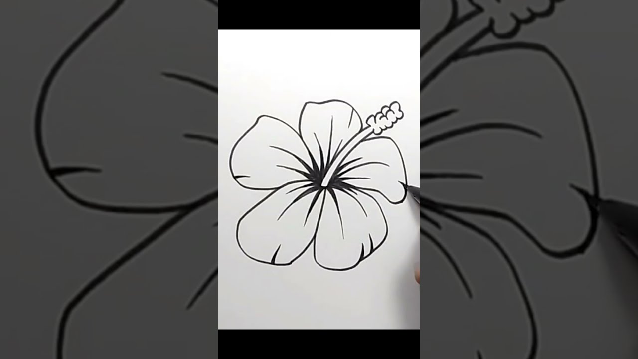 How to draw Hibiscus Flower #shorts