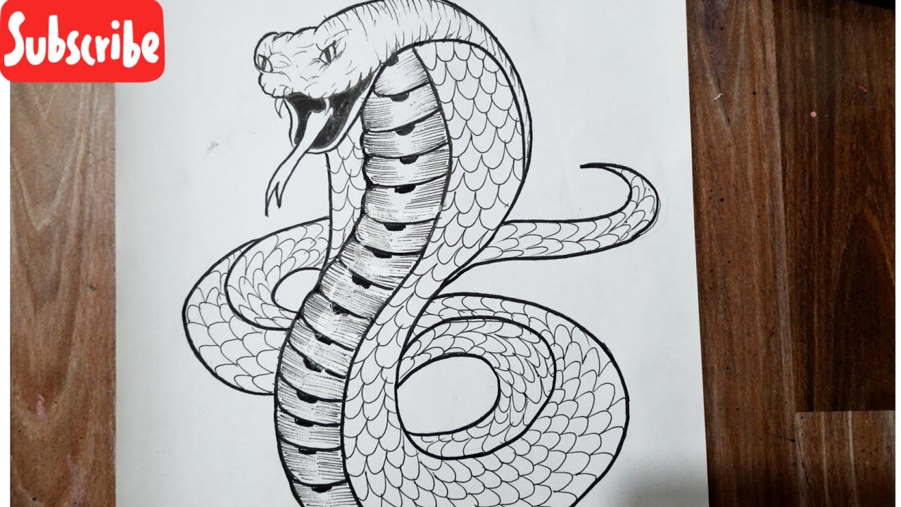 How to draw a cobra snake easy step by step || Easy Animal drawing