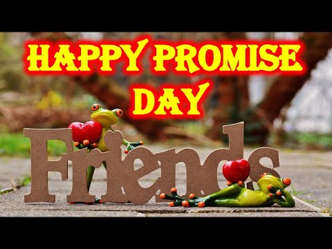 Happy Promise Day Whatsapp Status Video | Promise Day 2023, Video Free Download, Gif, Song, Quotes