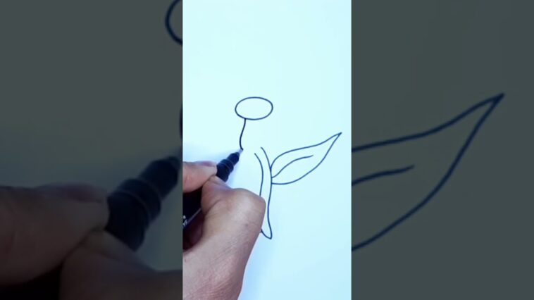 comment dessiner une fleur facilement
