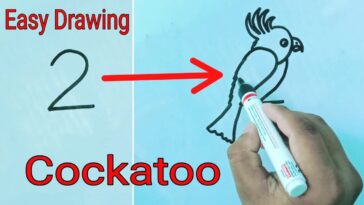 Comment dessiner un oiseau cacatoès ||  Comment transformer le numéro 2 en un joli cacatoès étape par étape