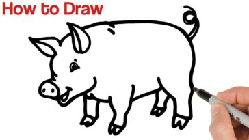 Comment dessiner un petit cochon / Dessins d'animaux pour débutants