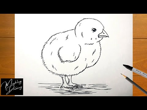Comment dessiner un poussin facilement