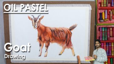 Comment dessiner une chèvre réaliste au pastel à l'huile |  étape par étape |  Supriyo
