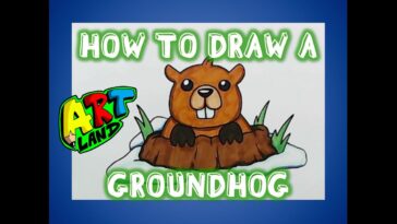 Comment dessiner une marmotte