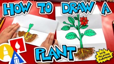 Comment dessiner une plante avec une surprise pliante
