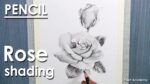 Dessin au crayon : Comment ombrager une rose