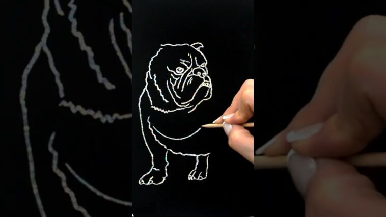 Drawing English Bulldog Dog #drawings #shorts #easydrawings