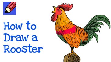 How to Draw a Rooster Crowing for Chinese New Year
