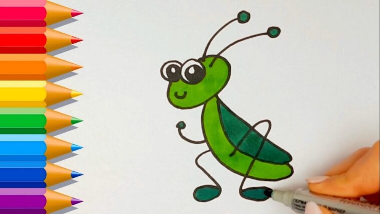 How to draw a grasshopper step by step 💙 How to draw a grasshopper