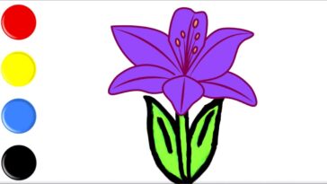 Lilie | Zeichnen und Ausmalen | Farben Lernen | Deutsch und Englisch Lernen