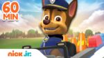 PAW Patrol Chase Is On the Case Rescues! w/ Skye & Marshall | 60 Minute Compilation | Nick Jr.