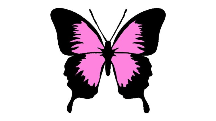 Wie zeichnet man einen Schmetterling (Tiere)